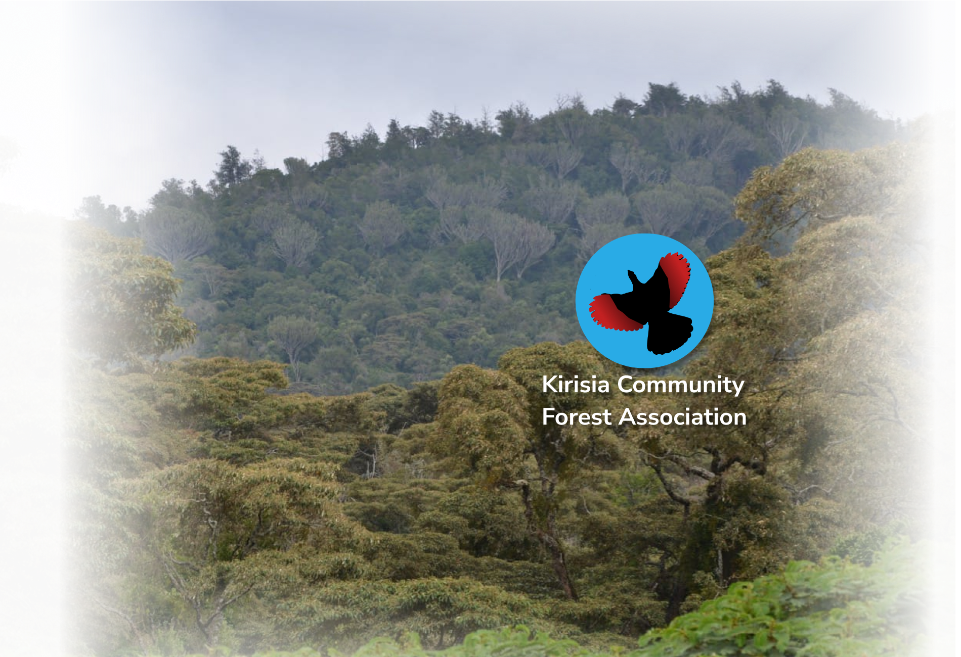 Aerial view of Kirisia Forest, Samburu County, Kenya — community reforestation and patrols