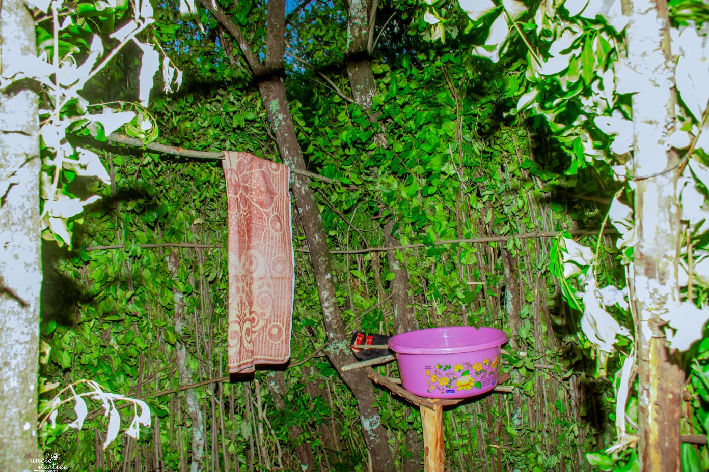 cases banner works-img