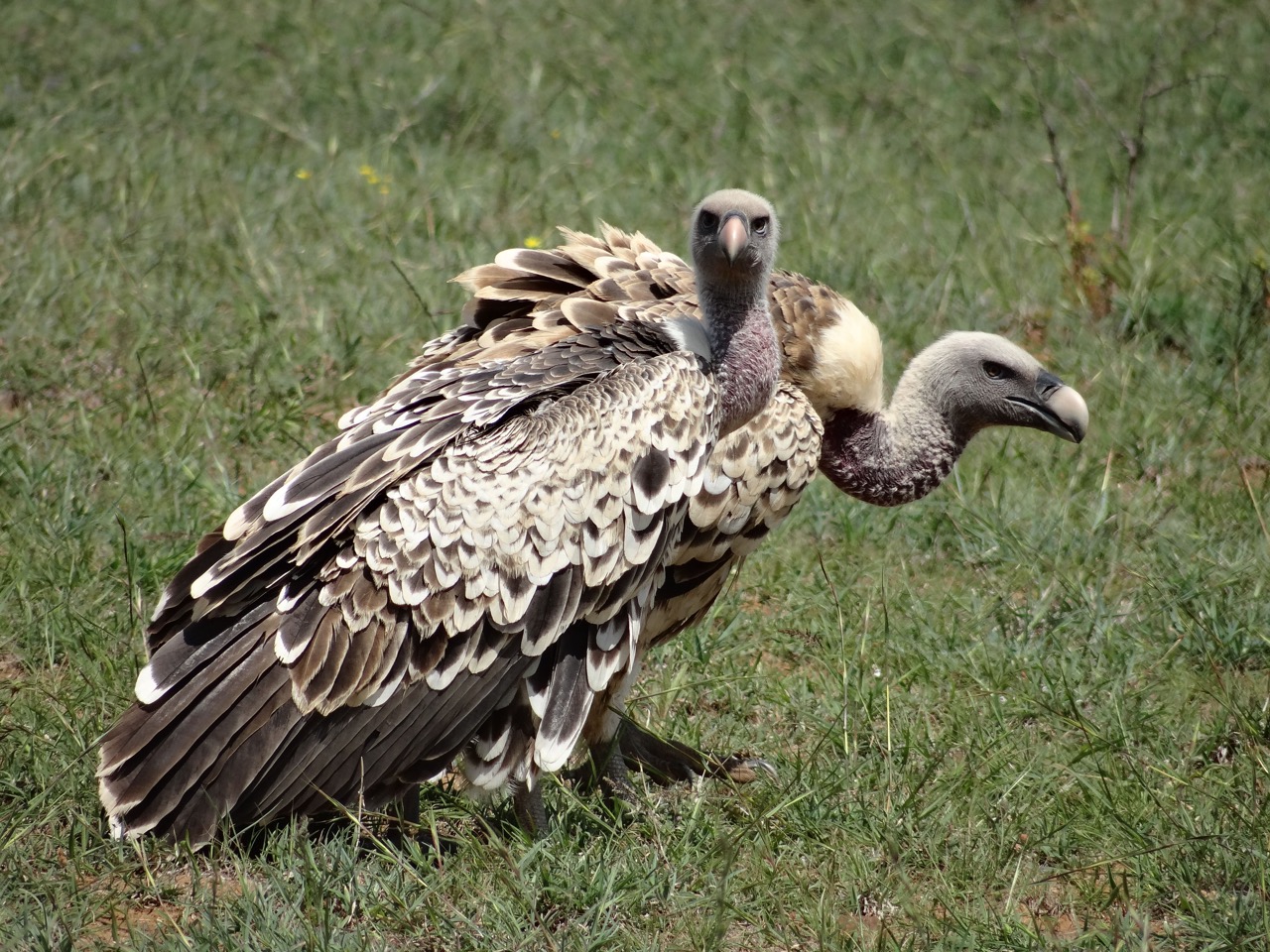 cases banner works-img