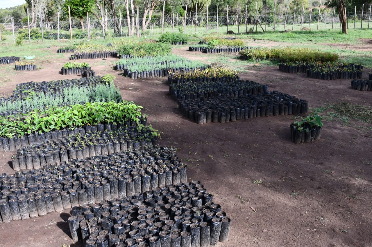 cases banner works-img