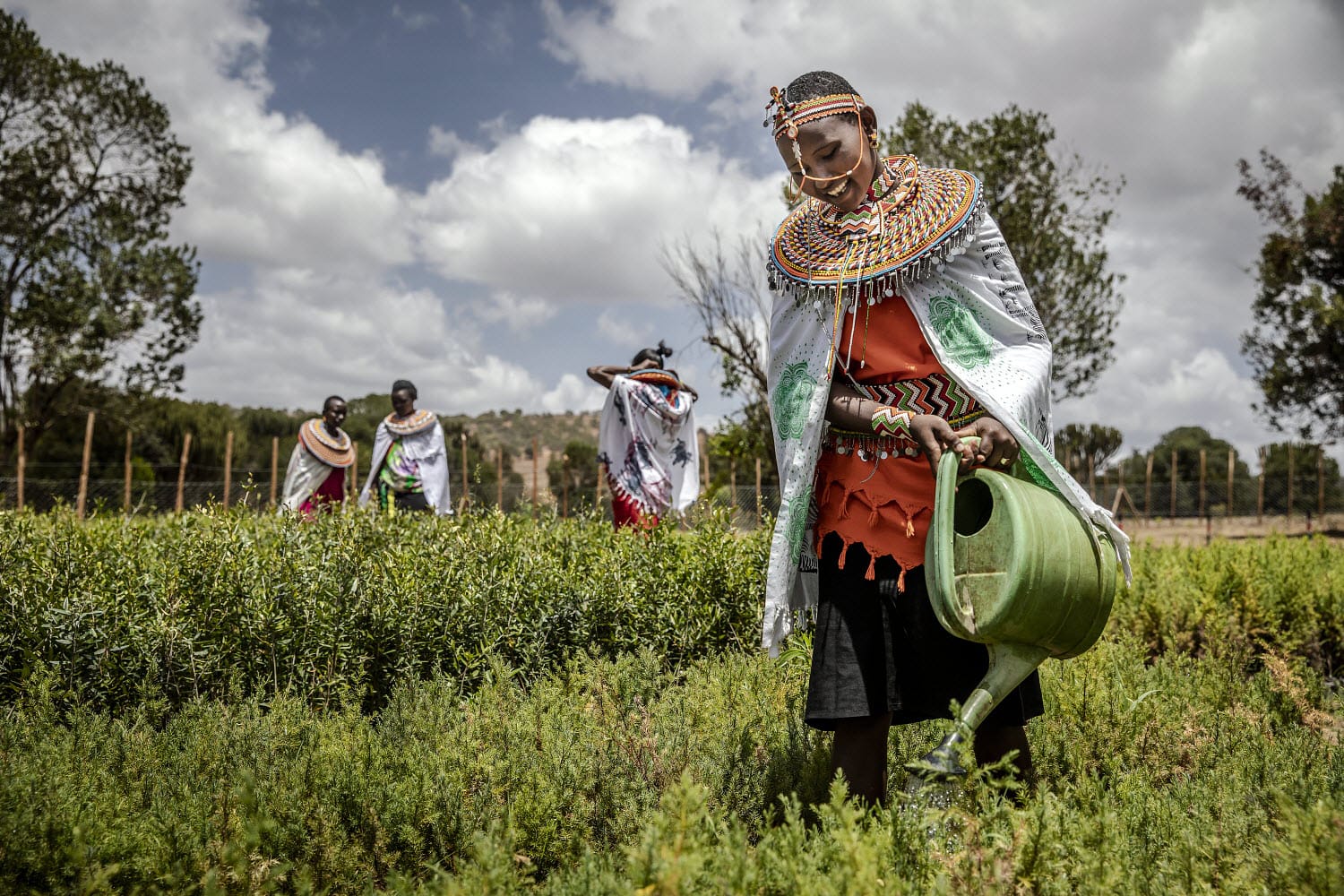 cases banner works-img